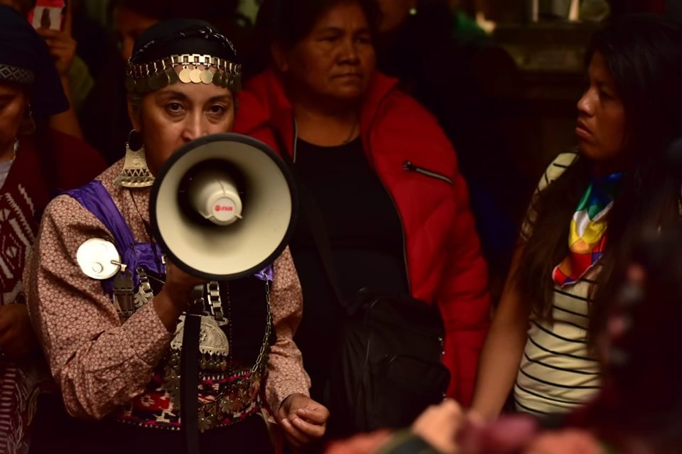 “Lo que sucedió hoy en Casa Rosada fue un desprecio hacia toda la comunidad indígena”
