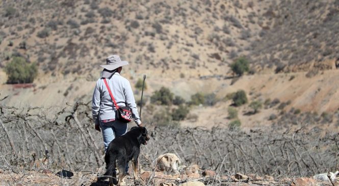Monte Patria, Chile: Los primeros expatriados climáticos del país