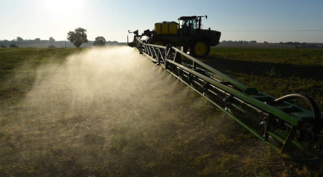 Clorpirifós, el pesticida del que nadie habla y es peor que el glifosato