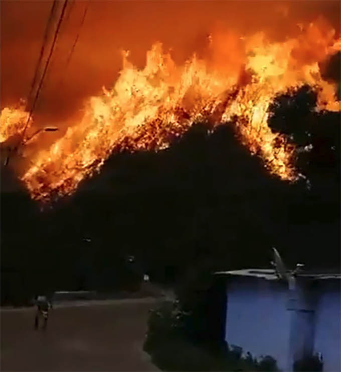 Incendios en Valparaíso: ¡No más plantaciones forestales en Chile!