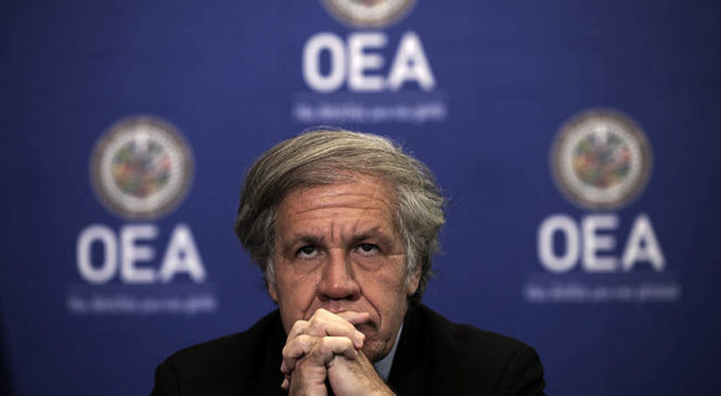OEA golpista pide apoyo para derrocar al gobierno nicaragüense