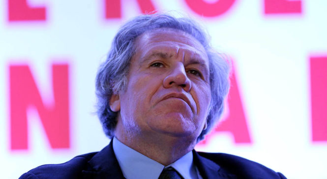 ¿Los últimos días de Luis Almagro en la OEA?