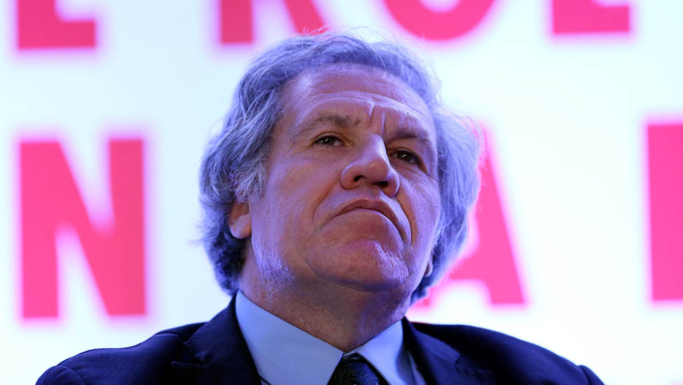 ¿Los últimos días de Luis Almagro en la OEA?