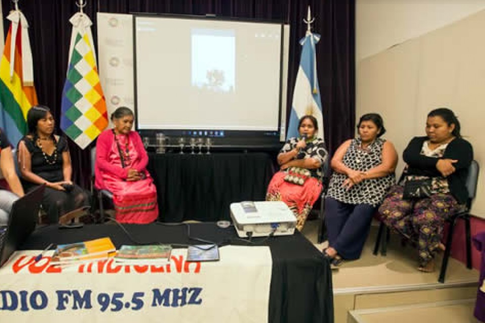 Emergencia sanitaria en el Chaco salteño: una propuesta para afrontar la crisis desde la multiculturalidad