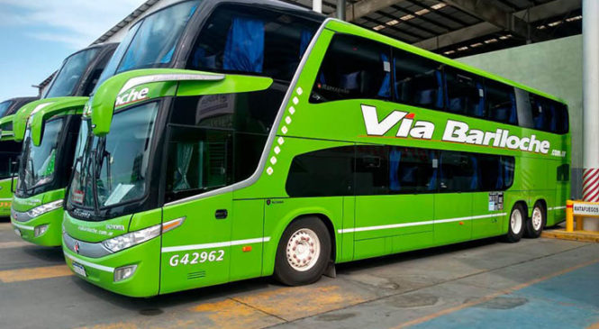 Vía Bariloche: buscan reincorporar al chofer que denunció las condiciones de seguridad