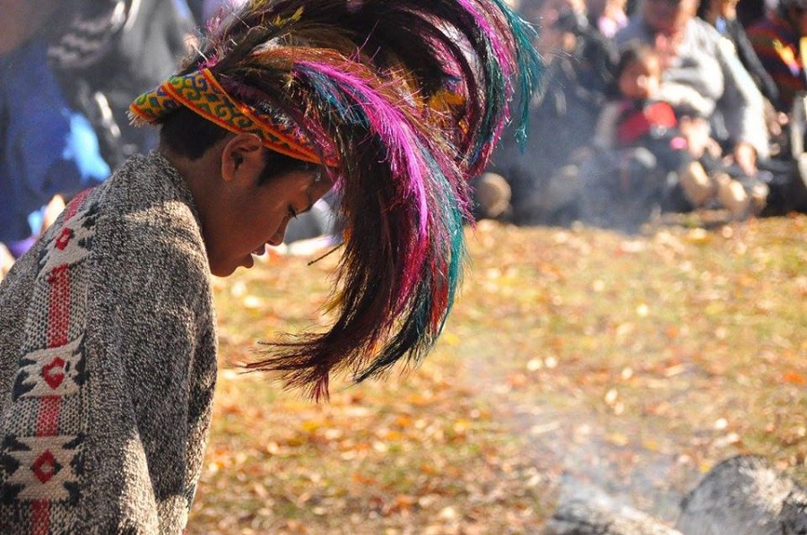Denuncia mapuche contra el Ministerio de Educación de la Nación