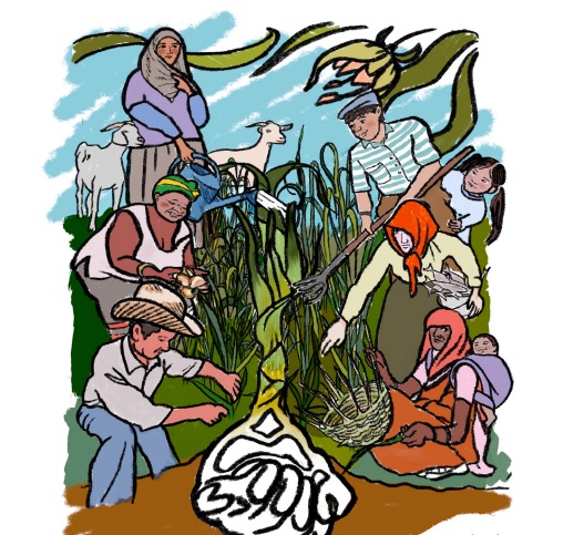 Derechos Campesinos – Libro Didáctico: ¡ Una nueva versión ilustrada de la Declaración de la ONU