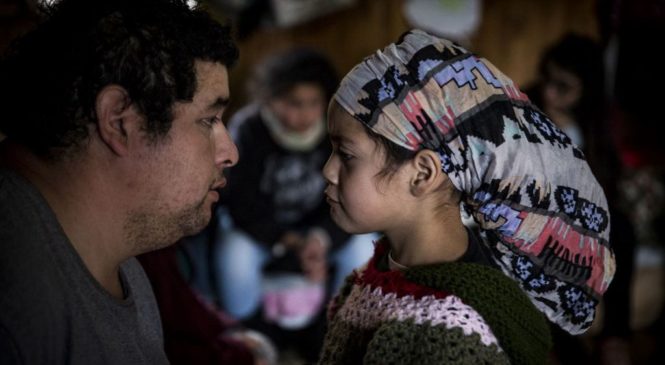 Por las infancias mapuches en procesos de recuperación territorial exigen perspectiva intercultural