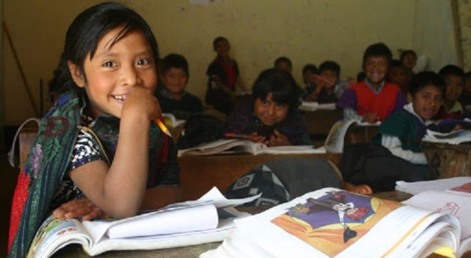 ¿Para cuándo los derechos educativos de los pueblos originarios?