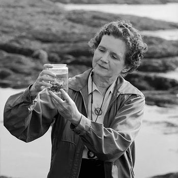 Rachel Carson, la mujer que creó la ecología