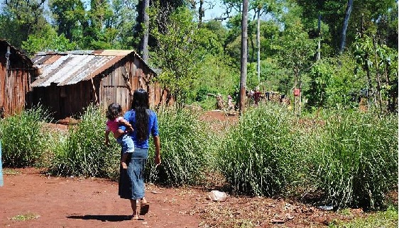 Iguazú: otra vez invadieron tierras de guaraníes para instalar un complejo turístico