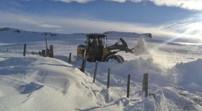 Río Negro: luego del reclamo, la Provincia rescató el cuerpo de Nazario Cayu
