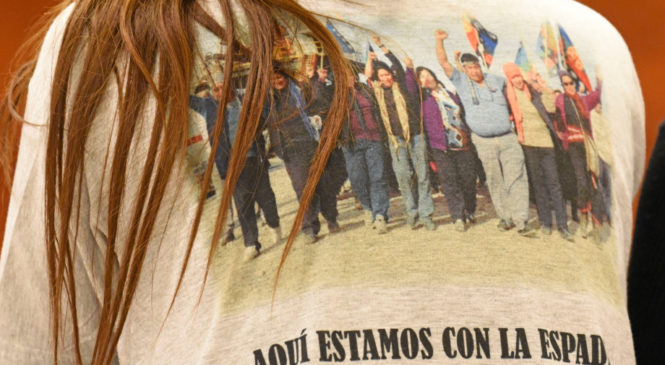 Espionaje ilegal: La Confederación Mapuche de Neuquén pedirá ser querellante