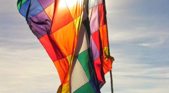 Organizaciones de Pueblos Originarios exigen políticas al Estado chileno por pandemia covid 19
