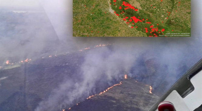 Delta del Paraná: La mayoría de los fuegos en islas son intencionales y por el corrimiento de la frontera agropecuaria