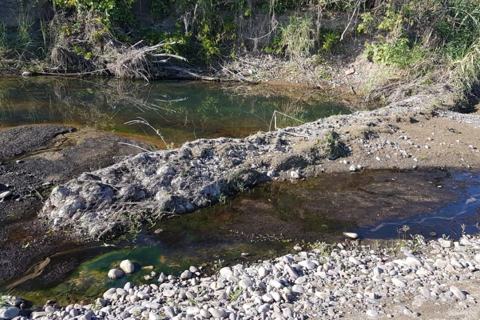 Comunidad advierte sobre los desmontes en la ribera del río Blanco