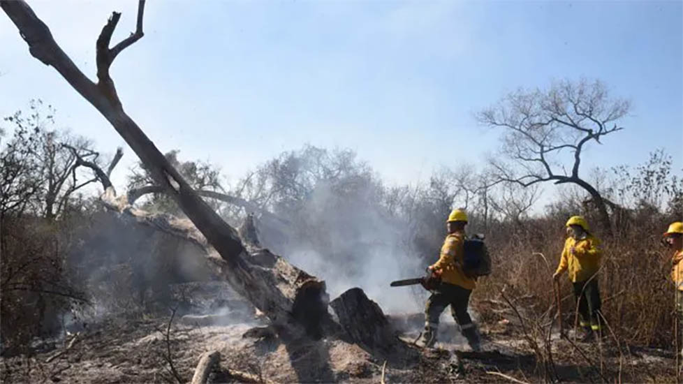 “Nos volvieron a prender fuego todo en las islas”, dijo el titular de Protección Civil de Santa Fe