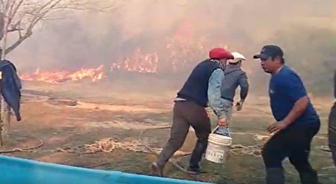 Incendios en las islas del Paraná: dramática situación de pobladores
