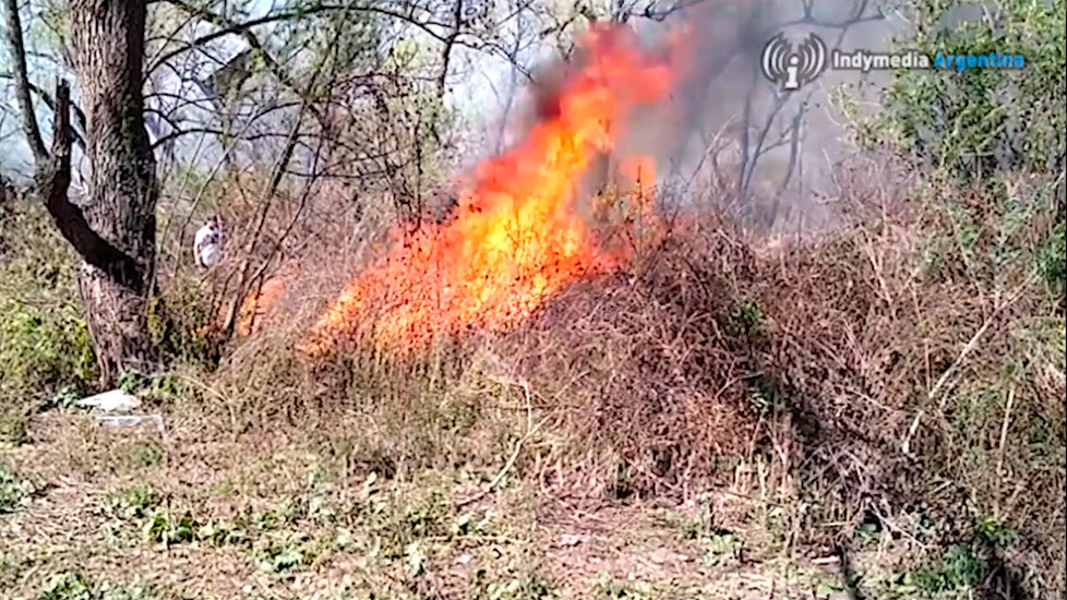 Continúan los incendios en los humedales del Paraná