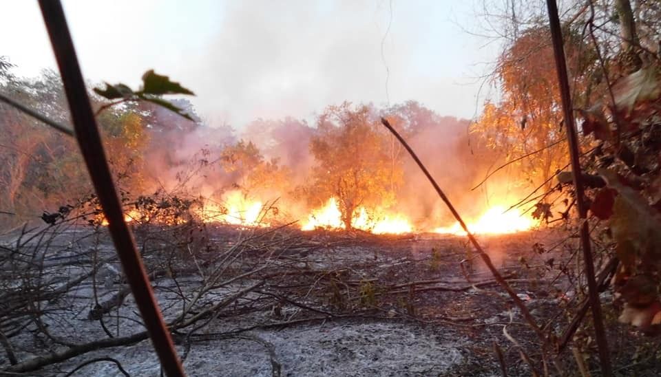 Salta: fuego en Yariguarenda