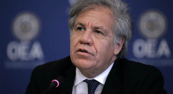 Bolivia: Denuncian a Almagro y la Misión de observadores de la OEA