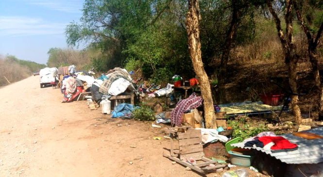 Un nuevo desalojo: comunidad wichí Yokwespehen en Tartagal