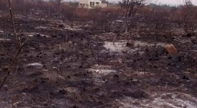 Luyaba, el pueblo de Córdoba que casi desaparece por el fuego