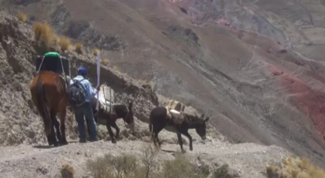 Iruya: Casa de la Cultura Awawa cumple 15 años llevando el cine en burro a comunidades indígenas