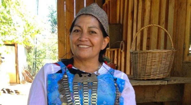 “Hay que asumir que los mapuche igual estamos patriarcalizados”