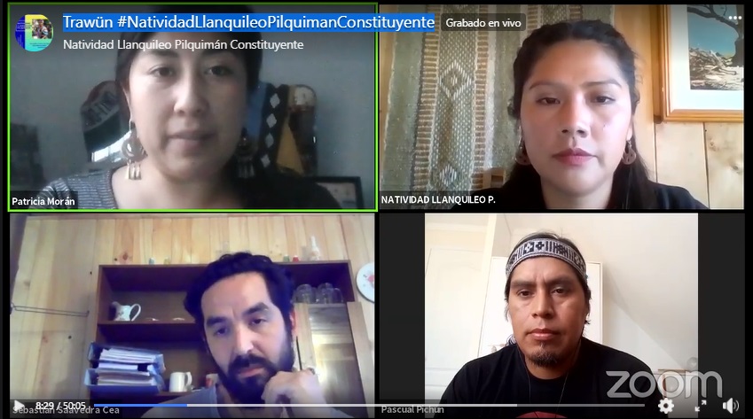 Principales  desafíos  constituyentes  en Chile desde  la  perspectiva  de  la  candidatura  Mapuche de  Natividad  Llanquileo