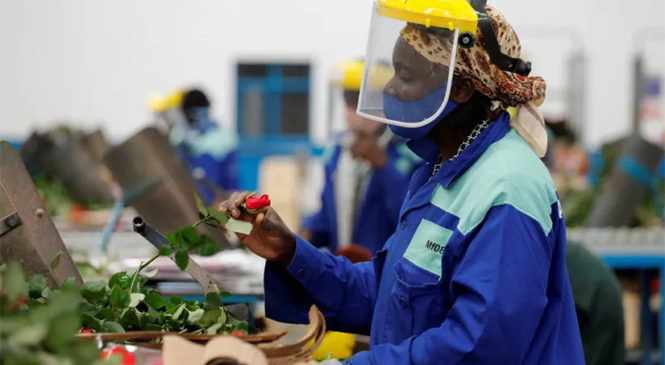 Los salarios bajan en el mundo a consecuencia de la pandemia de Covid-19, informa la OIT