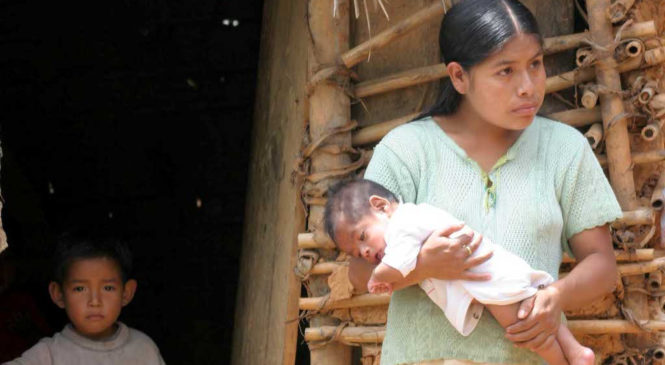 Mujeres indígenas: ¿quién se preocupa de sus problemas de salud y de las niñas madres?