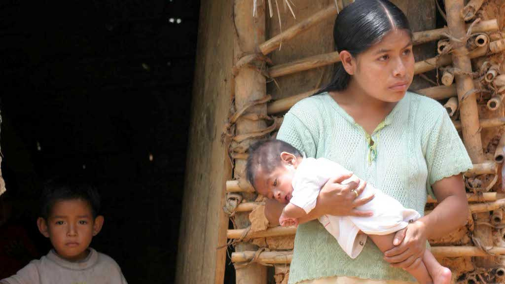 Mujeres indígenas: ¿quién se preocupa de sus problemas de salud y de las niñas madres?
