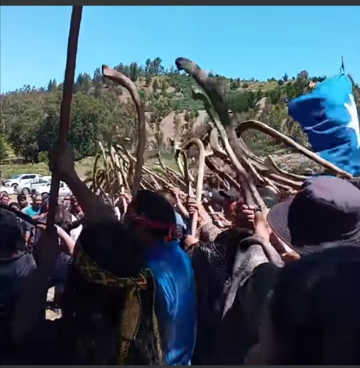 Pronunciamiento del Lef Trawun desde Temucuicui: Derechos Colectivos, Soberanía Territorial y Autodeterminación Mapuche