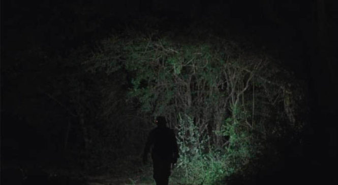 Un documental que muestra el daño que generan las megagranjas porcinas