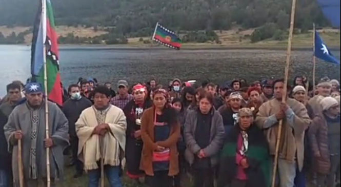 Conflictos inmobiliarios en el sur de Chile: Afectación a la biodiversidad,  territorios ancestrales y derechos colectivos