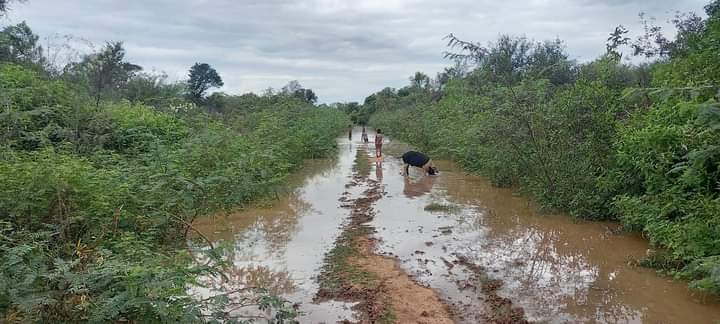 La pandemia en comunidades wichí: inundación y falta de agua potable