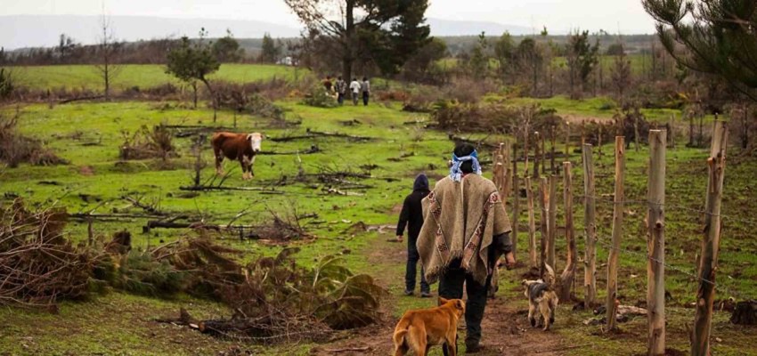 Chile: Vida rural campesina y mapuche en tiempos de crisis sanitaria