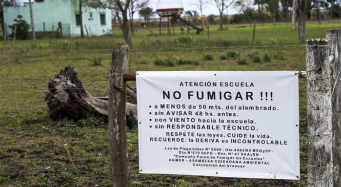 Virtual o presencial, el agronegocio está en las aulas