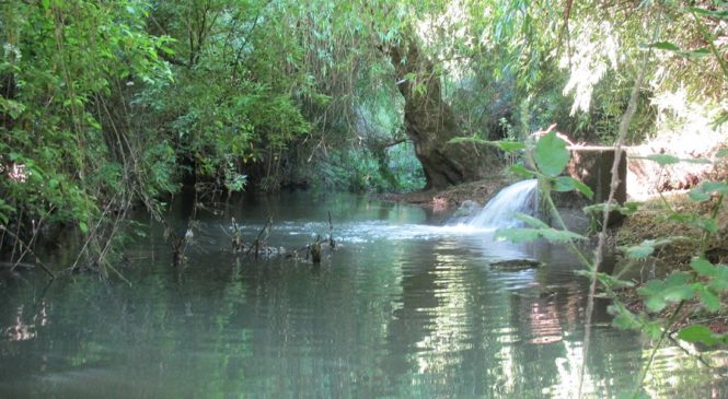 Aguas servidas contaminantes: Nueva denuncia por racismo ambiental en tierras Mapuche de la Araucanía (Chile)