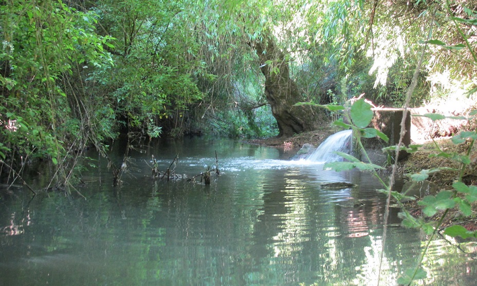 Aguas servidas contaminantes: Nueva denuncia por racismo ambiental en tierras Mapuche de la Araucanía (Chile)