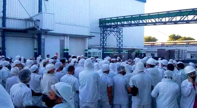 Conflicto en la carne: continúa abierto el conflicto en Arrebeef