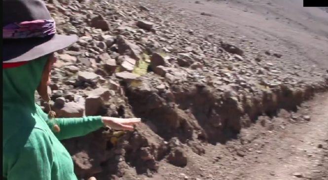 Realizan denuncia por destrucción de Yaretas en importante Cerro para el Pueblo Quechua en Chile