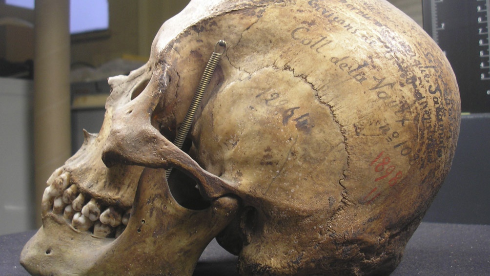 Francia devolverá los restos de un tehuelche que estaban en el Museo del Hombre de París
