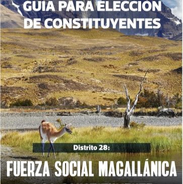 Guía Político Electoral Especial Elección Constituyente en Chile