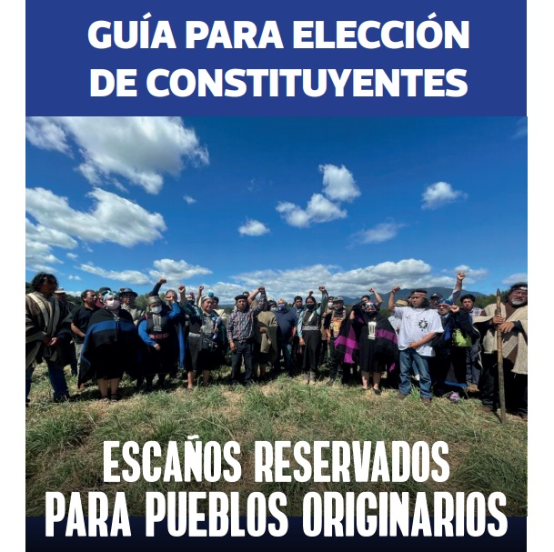 Guía  Electoral  Constituyente en Chile: Escaños Reservados  Pueblos Originarios