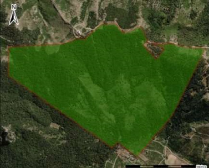Bariloche: un especialista en Derecho Indígena descartó que el municipio pueda reclamar por tierras en el cerro Otto