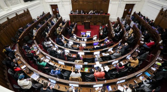 ¿Racismo en la Convención como acción saboteadora de la extrema derecha al proceso constituyente en Chile?