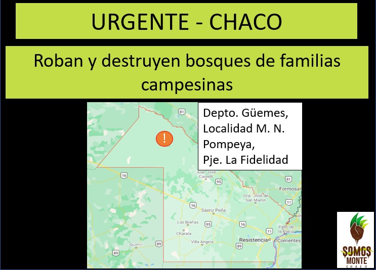 Destrucción de bosque y acaparamiento de tierras en Chaco