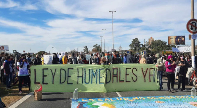 Multisectorial pide que Santa Fe denuncie a Entre Ríos por la devastación de las islas del Paraná